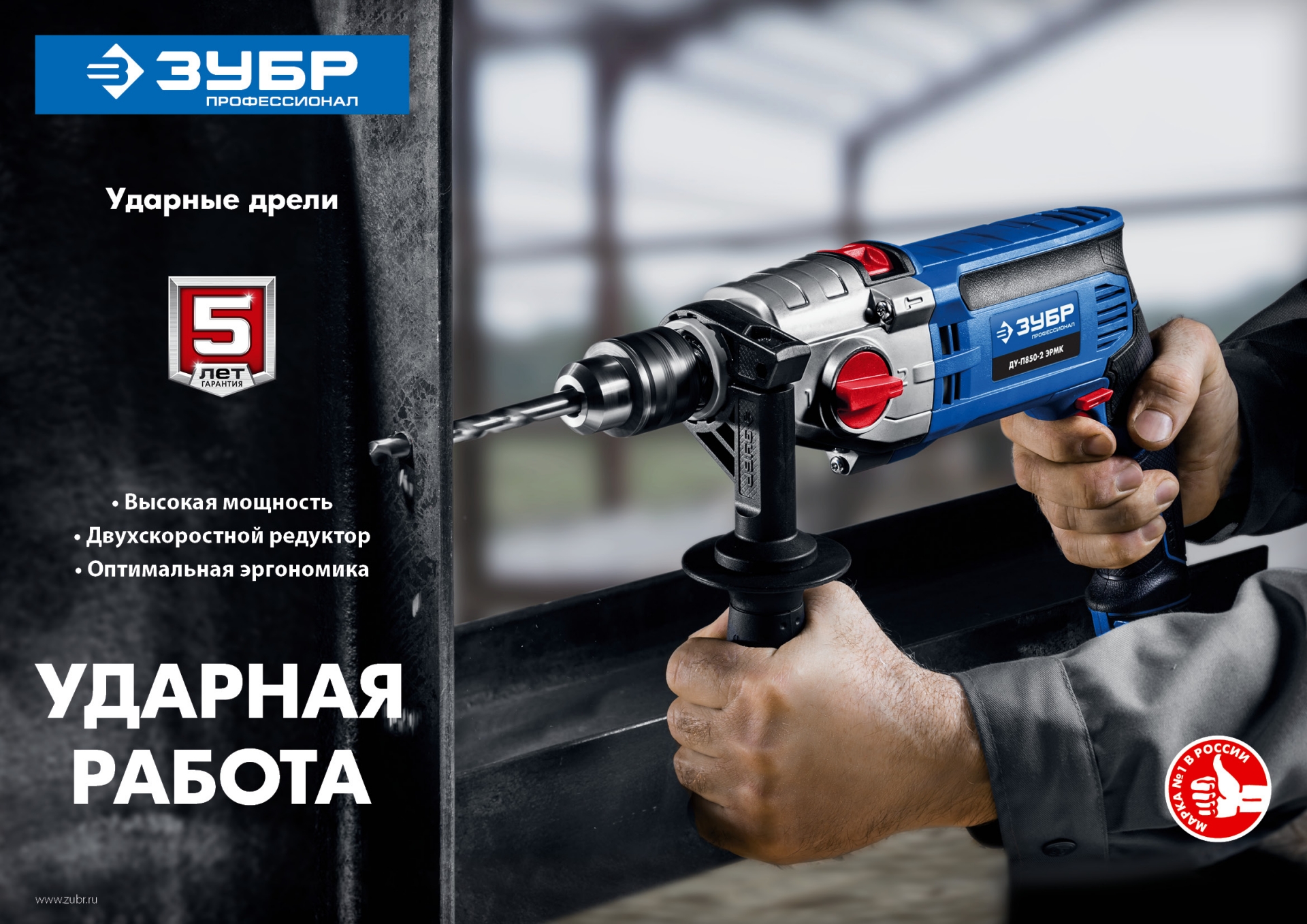ЗУБР 850 Вт, 13 мм, 2 скорости, ударная дрель, мет. корпус, Профессионал (ДУ-П850 ЭРМ)